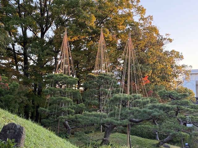 ファイル 1218-4.jpeg