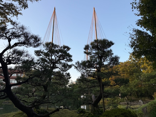 ファイル 1218-5.jpeg