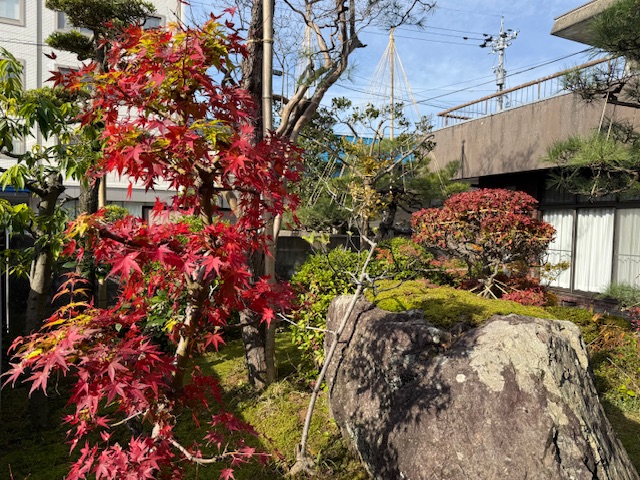 ファイル 1223-2.jpeg