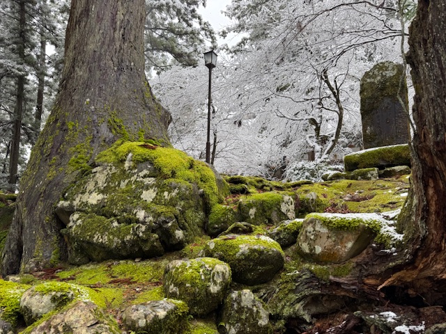 ファイル 1229-4.jpeg