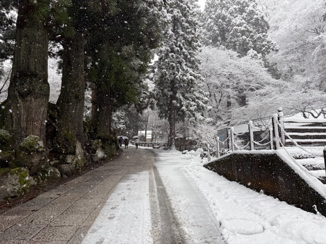 ファイル 1229-5.jpeg