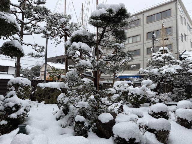 ファイル 1230-5.jpeg