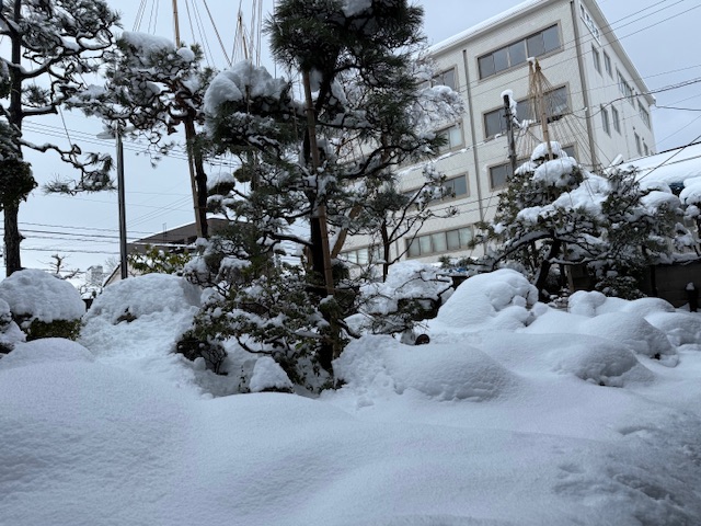 ファイル 1231-3.jpeg