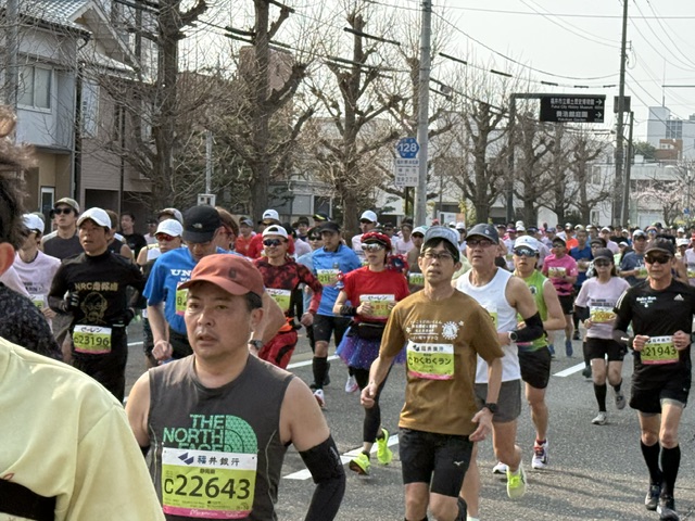 ファイル 1241-2.jpeg