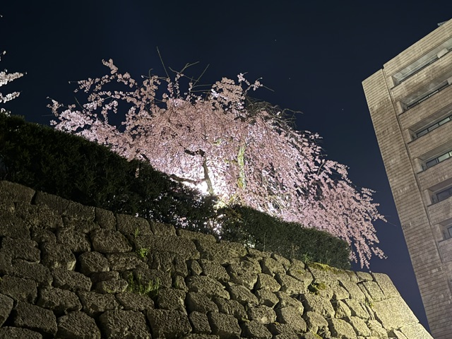 ファイル 1243-2.jpeg