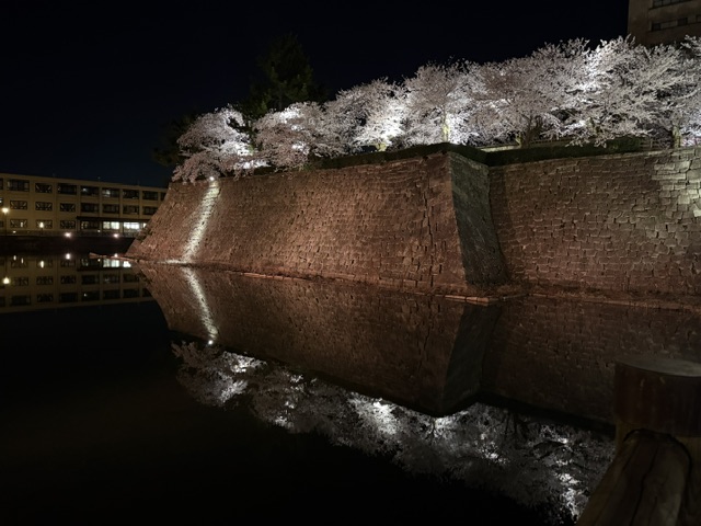 ファイル 1243-3.jpeg