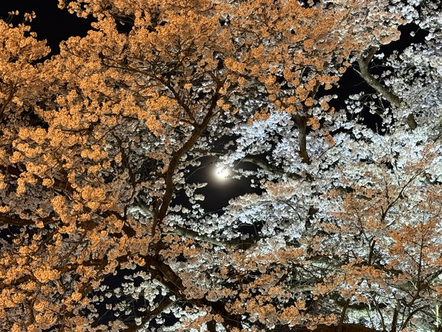 ファイル 1243-5.jpeg